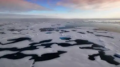 Исторического минимума достигла площадь льда Антарктиды