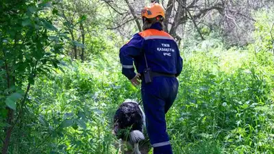 15 дней провел в степи потерявшийся житель Акмолинской области