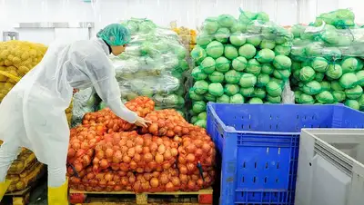 лук подорожал больше других продуктов в июле