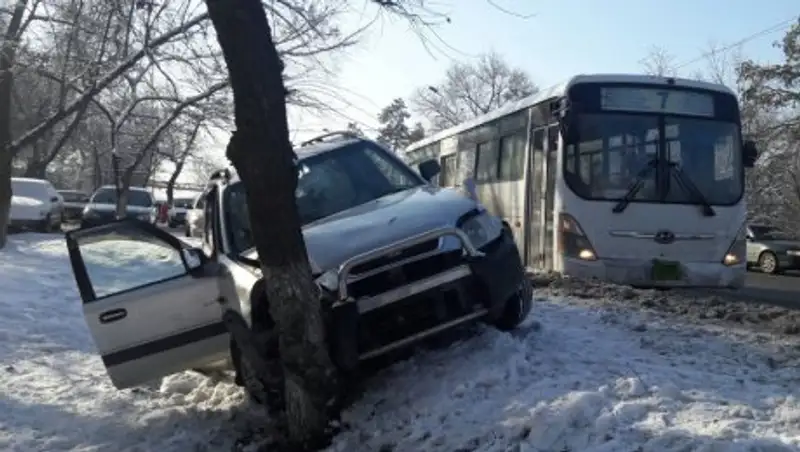 Иномарка влетела в дерево с автобусной полосы в Алматы