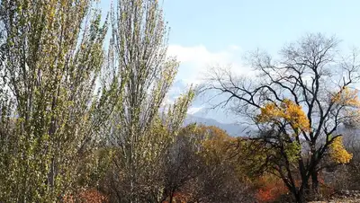 В выходные похолодает на юге и востоке Казахстана , фото - Новости Zakon.kz от 21.10.2022 12:32