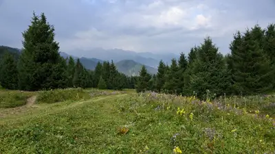 О погоде в Астане, Алматы и Шымкенте на ближайшие три дня рассказали синоптики, фото - Новости Zakon.kz от 19.07.2023 16:33