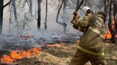 Работников противопожарной службы лесных пожарных станций приравняют к работникам государственной лесной охраны , фото - Новости Zakon.kz от 25.08.2023 09:07