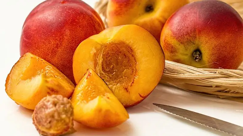 персики, полезные фрукты, витамины, фото - Новости Zakon.kz от 08.09.2023 10:43