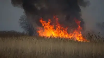 Дым над столицей - огнеборцы тушат сухостой, фото - Новости Zakon.kz от 27.05.2023 18:48
