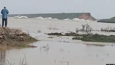 Кадр из видео, фото - Новости Zakon.kz от 05.05.2020 20:44