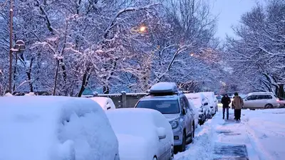 Электрокары будут расчищать улицы Алматы от снега