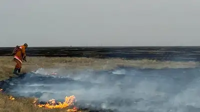 В ЗКО ликвидировали 30 очагов природных пожаров , фото - Новости Zakon.kz от 11.07.2023 02:15