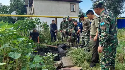 лошадь спасение Актюбинская область