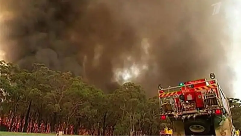 В Австралии бушуют лесные пожары, фото - Новости Zakon.kz от 21.10.2013 20:35
