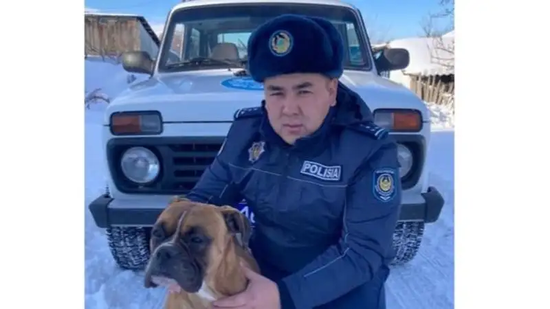 В Текели полицейский помог истощенной собаке обрести новый дом