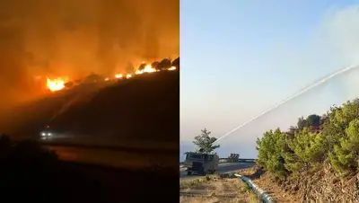 В турецкой Анталье вспыхнул лесной пожар, фото - Новости Zakon.kz от 12.09.2022 01:07
