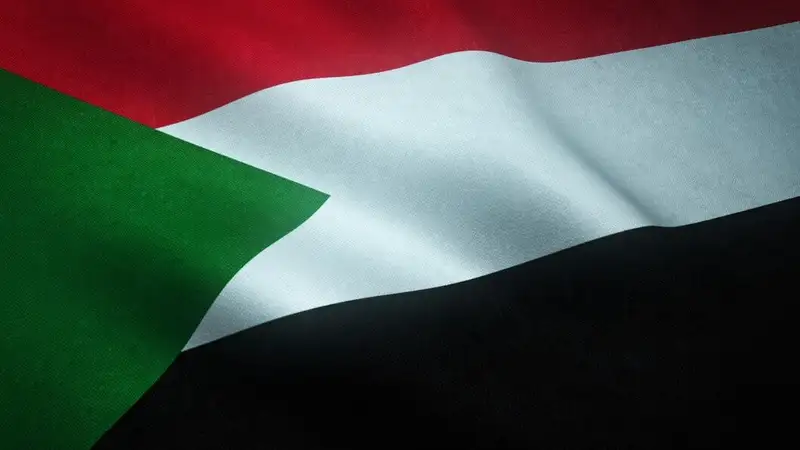 флаг Палестины, фото - Новости Zakon.kz от 02.01.2024 11:51