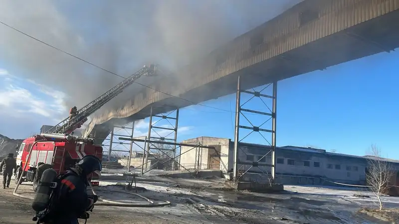 Крупный пожар произошел на цементном заводе в Семее