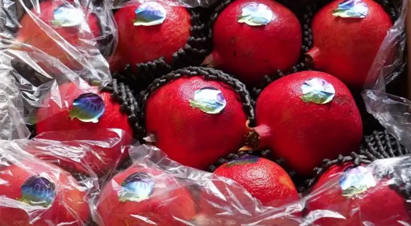 В Хоргосе начался сезон экспорта овощей и фруктов, фото - Новости Zakon.kz от 10.01.2024 11:42