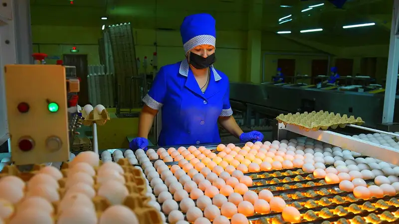 Сколько яиц производит Казахстан