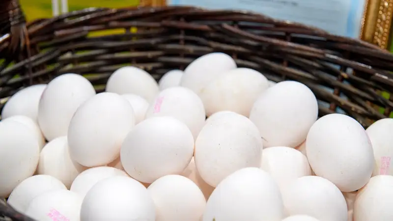 Цены на яйца в Казахстане, фото - Новости Zakon.kz от 19.01.2024 17:33
