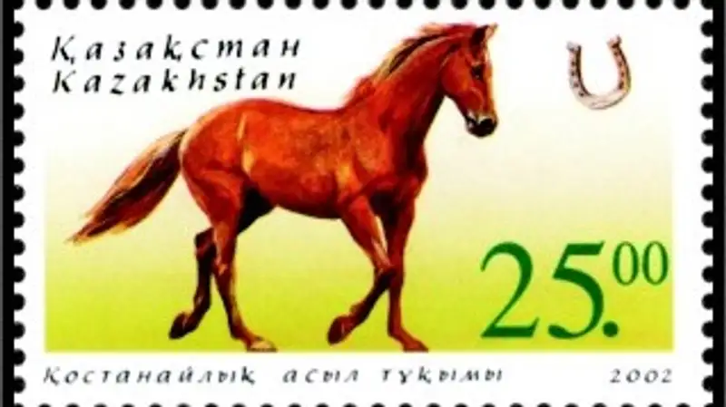 костанайскую породу лошадей возрождают в РК, фото - Новости Zakon.kz от 20.01.2024 14:32