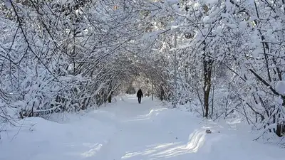 Синоптики прогнозируют погоду без осадков в Казахстане , фото - Новости Zakon.kz от 12.12.2022 11:10