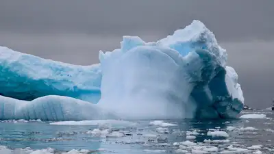 В Антарктиде рекордно сократилась площадь морского льда