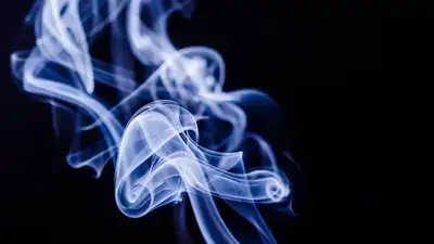Новая Зеландия приняла законопроект об отказе от курения, фото - Новости Zakon.kz от 13.12.2022 18:01