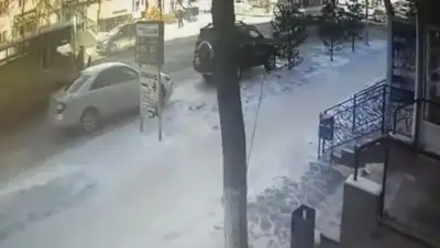 кадр из видео, фото - Новости Zakon.kz от 28.02.2019 07:30
