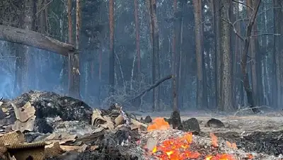 Минэкология ущерб пожары в Костанайской области, фото - Новости Zakon.kz от 20.10.2022 17:22