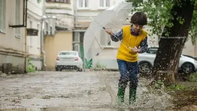 СС0 / Виктория Бородинова