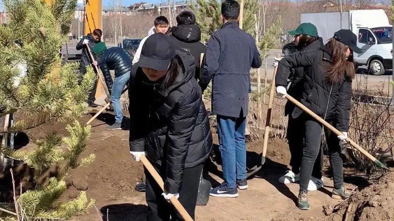 Миллион деревьев и кустарников высадят в текущем году в Астане, фото - Новости Zakon.kz от 09.04.2023 16:55