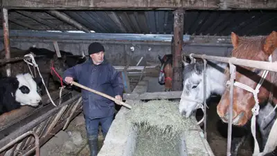 пресс-служба акимата области, фото - Новости Zakon.kz от 18.03.2020 09:30