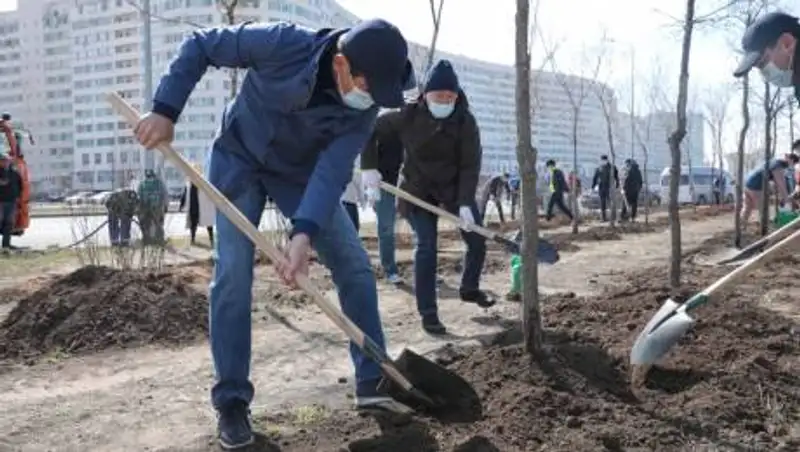 Nur Otan ставит задачу высадить 2 млрд деревьев — Байбек