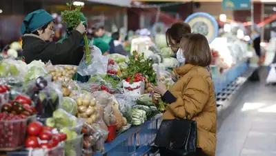 цены на продукты