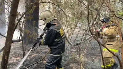 Патриарх Кирилл выразил соболезнования Токаеву в связи с гибелью людей при крупном пожаре в Абайской области