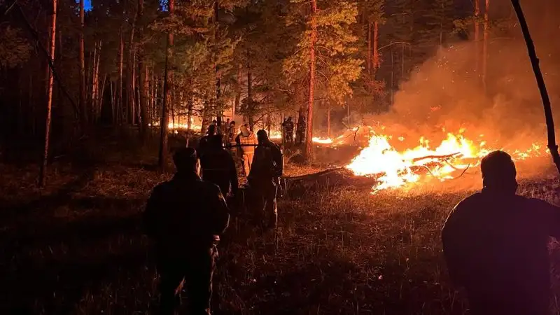 Линия огня: в Абайской области более суток тушат лесной пожар