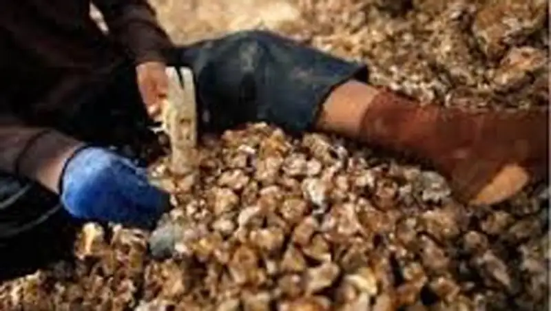 В Акмолинской области задержан салафит, занимавшийся незаконной добычей золота, фото - Новости Zakon.kz от 22.10.2013 20:11