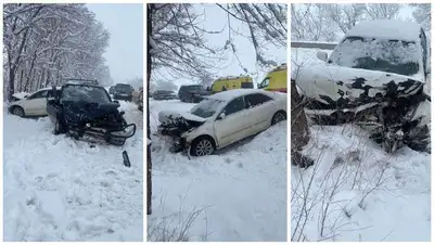 алматинская область, дтп, полиция, комментарий, фото - Новости Zakon.kz от 24.03.2022 10:14