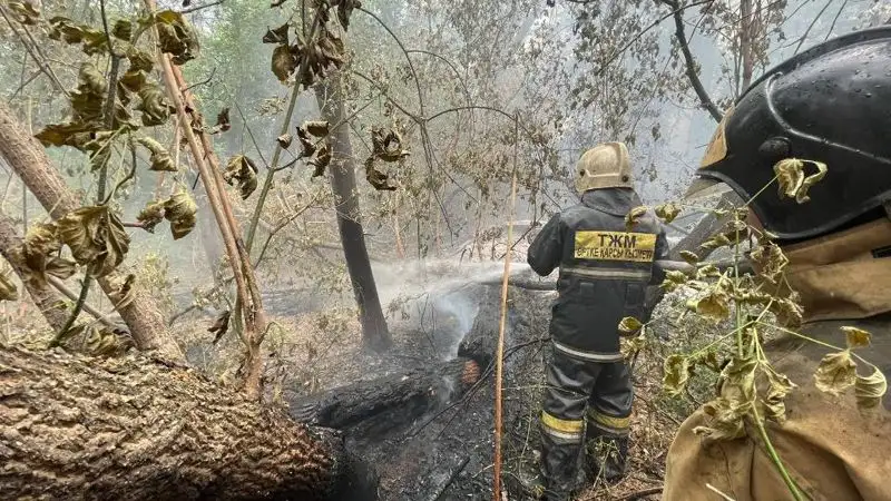 Площадь лесного пожара в Абайской области увеличилась до 30 тыс. га