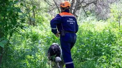 Четырехлетнего малыша ищут в Шымкенте 