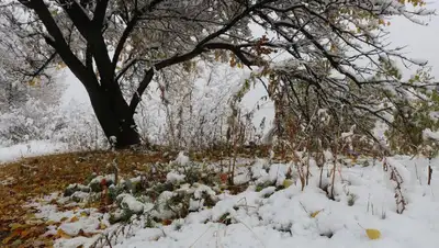 В выходные дни в Казахстане ожидается похолодание до 3 градусов, фото - Новости Zakon.kz от 14.10.2022 13:42