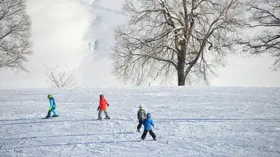 Ребенок впал в кому после столкновения на горке, фото - Новости Zakon.kz от 07.01.2023 13:05