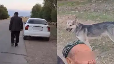 Сбил пенсионера на велосипеде: появились новые подробности, фото - Новости Zakon.kz от 24.08.2022 09:43