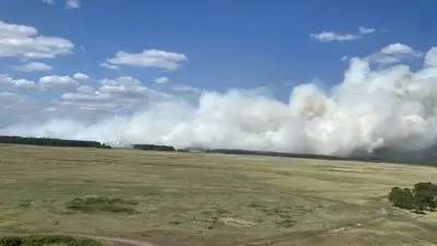 Продолжается тушение пожара в лесничестве "Ертіс орманы", фото - Новости Zakon.kz от 15.07.2023 22:51