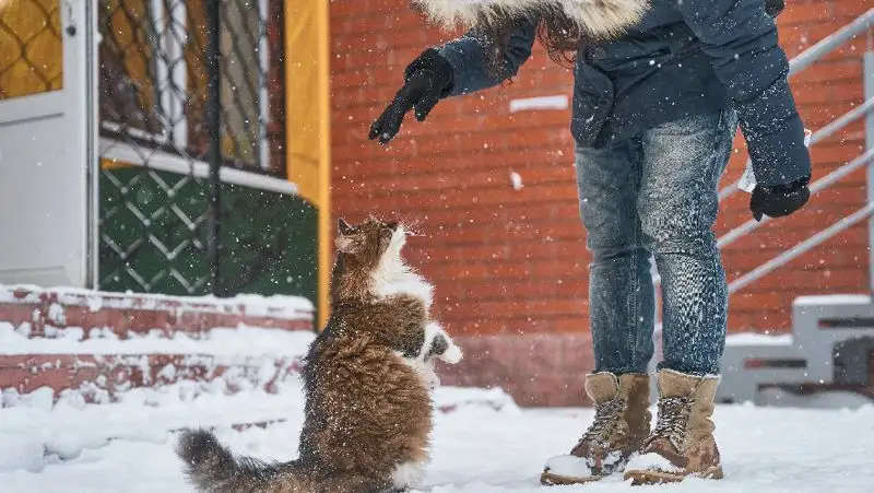 Женская верхняя одежда в Алматы на вечерние-огни.рф — Купить по лучшей цене, доставка в регионы.