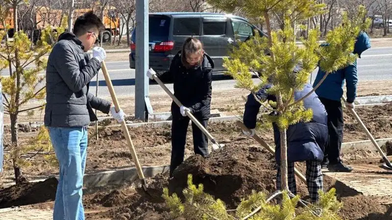 Миллион деревьев и кустарников высадят в текущем году в Астане