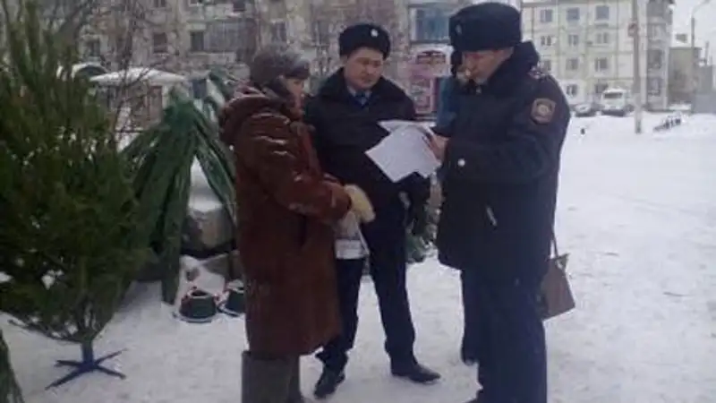 В СКО выявлен факт незаконной торговли елями, фото - Новости Zakon.kz от 21.12.2013 15:40