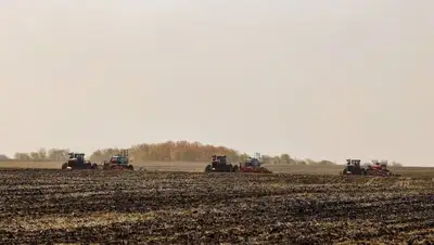 В Акмолинской области увеличился объем сева зерновых культур