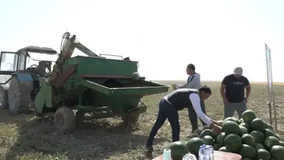 Пресс-служба акима Туркестанской области, фото - Новости Zakon.kz от 11.10.2019 19:28