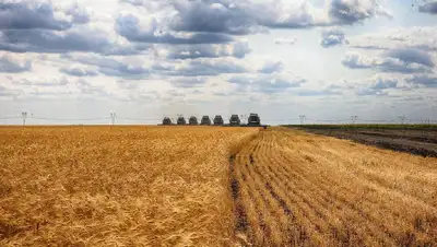 Центральная Азия, покупатели, Казахстан