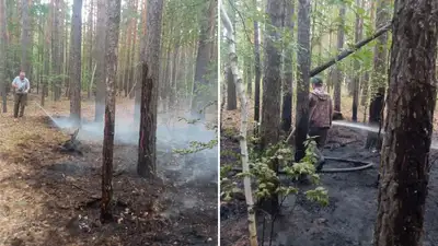 Из-за молнии горел лес в Бурабае, фото - Новости Zakon.kz от 13.07.2023 14:57