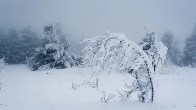 Снег с метелью и сильный ветер ожидаются в Казахстане 3 февраля , фото - Новости Zakon.kz от 03.02.2024 01:25